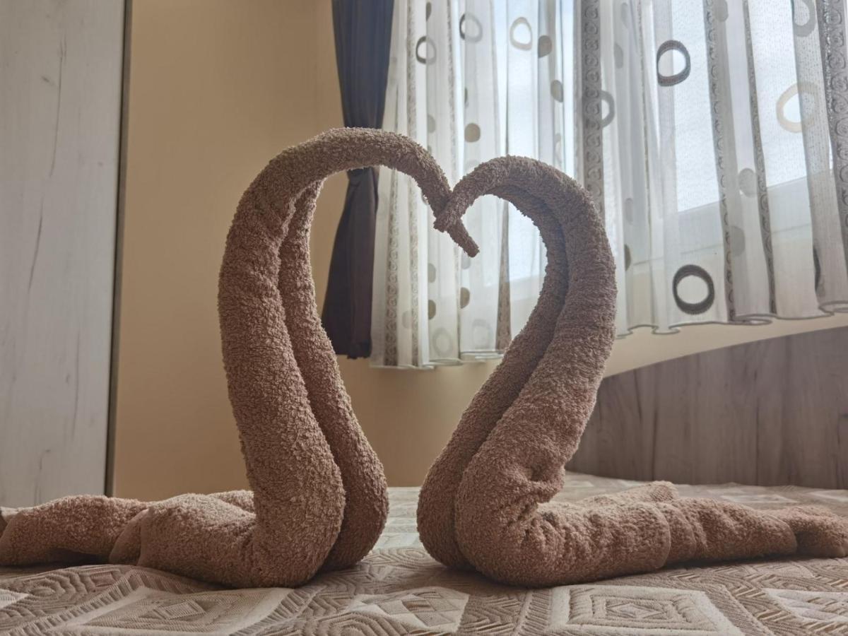 Апартамент Дани Apartament Dani Kazanłyk Zewnętrze zdjęcie